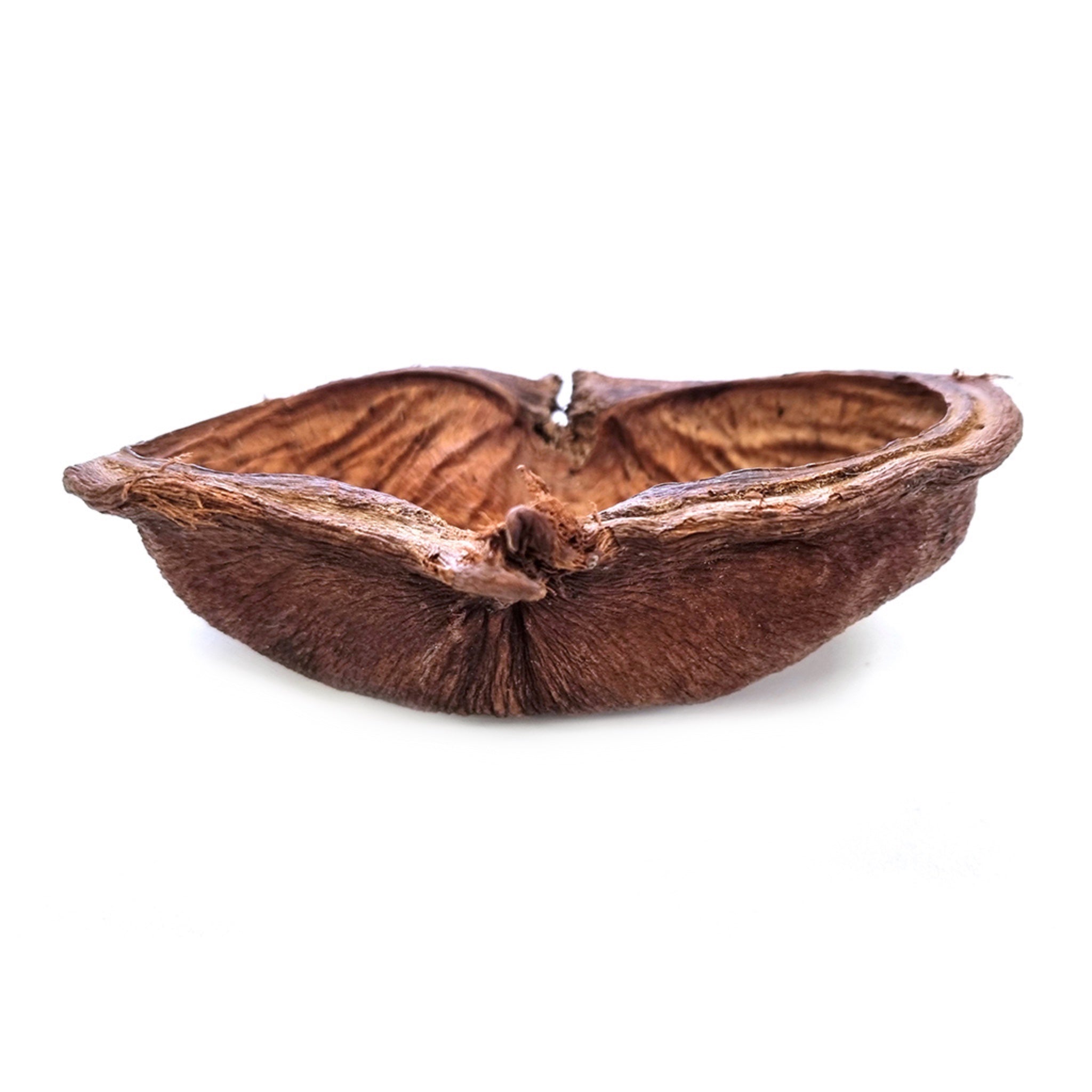 Noce di Badam