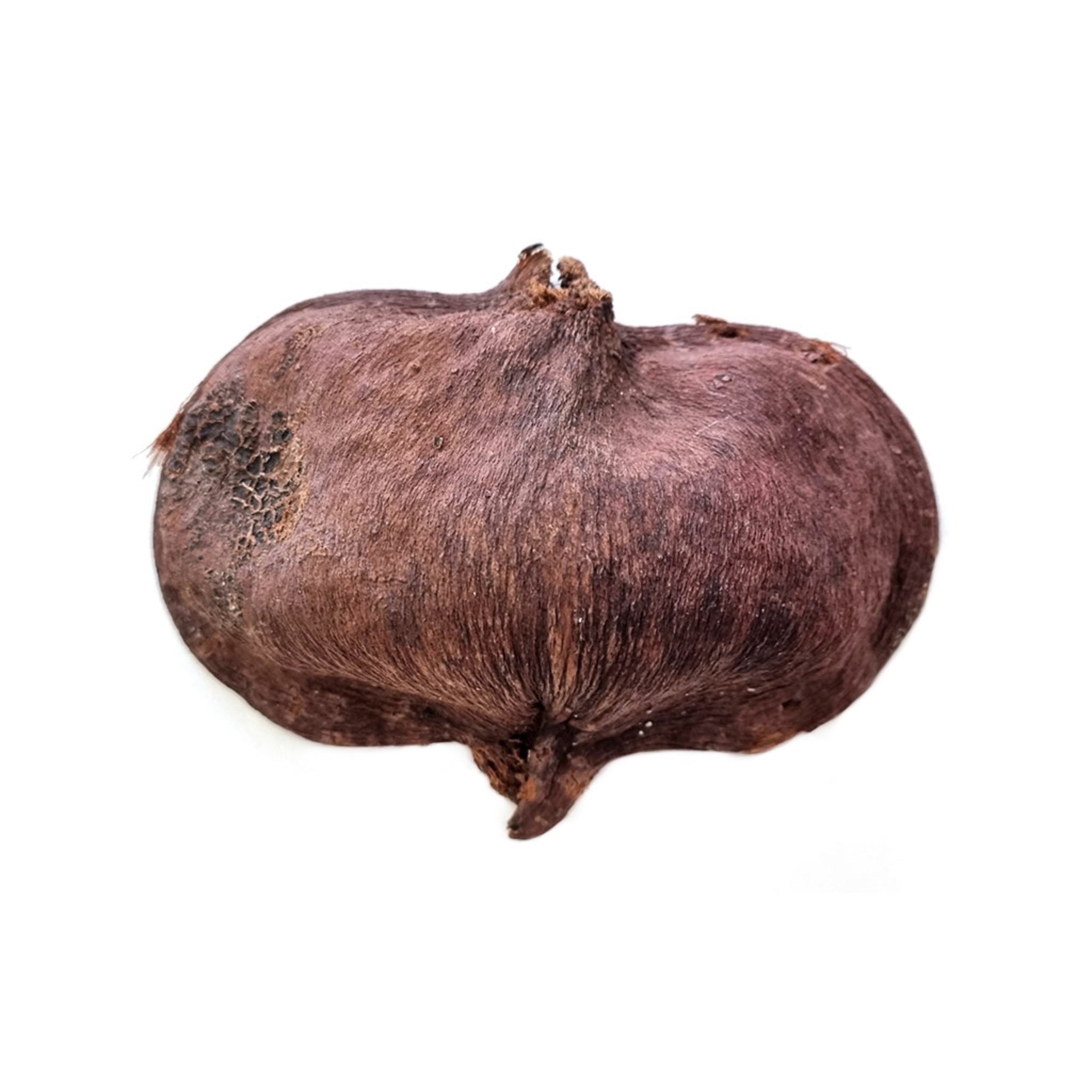 Noce di Badam