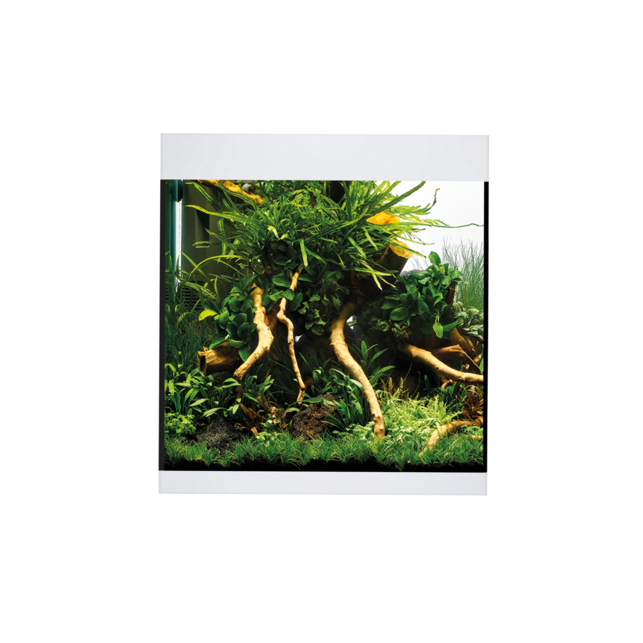 Oase StyleLine 85 Acquario