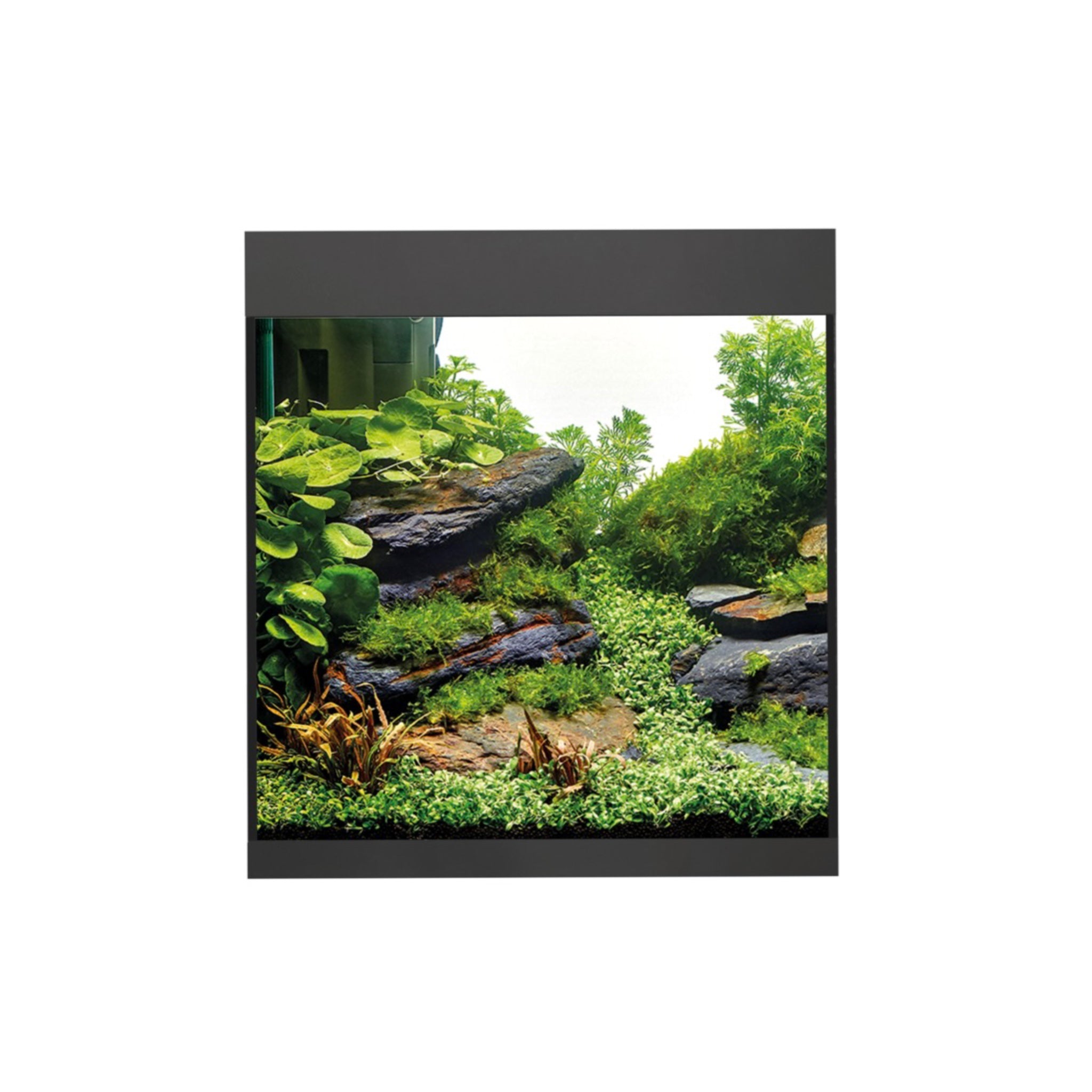 Oase StyleLine 85 Acquario