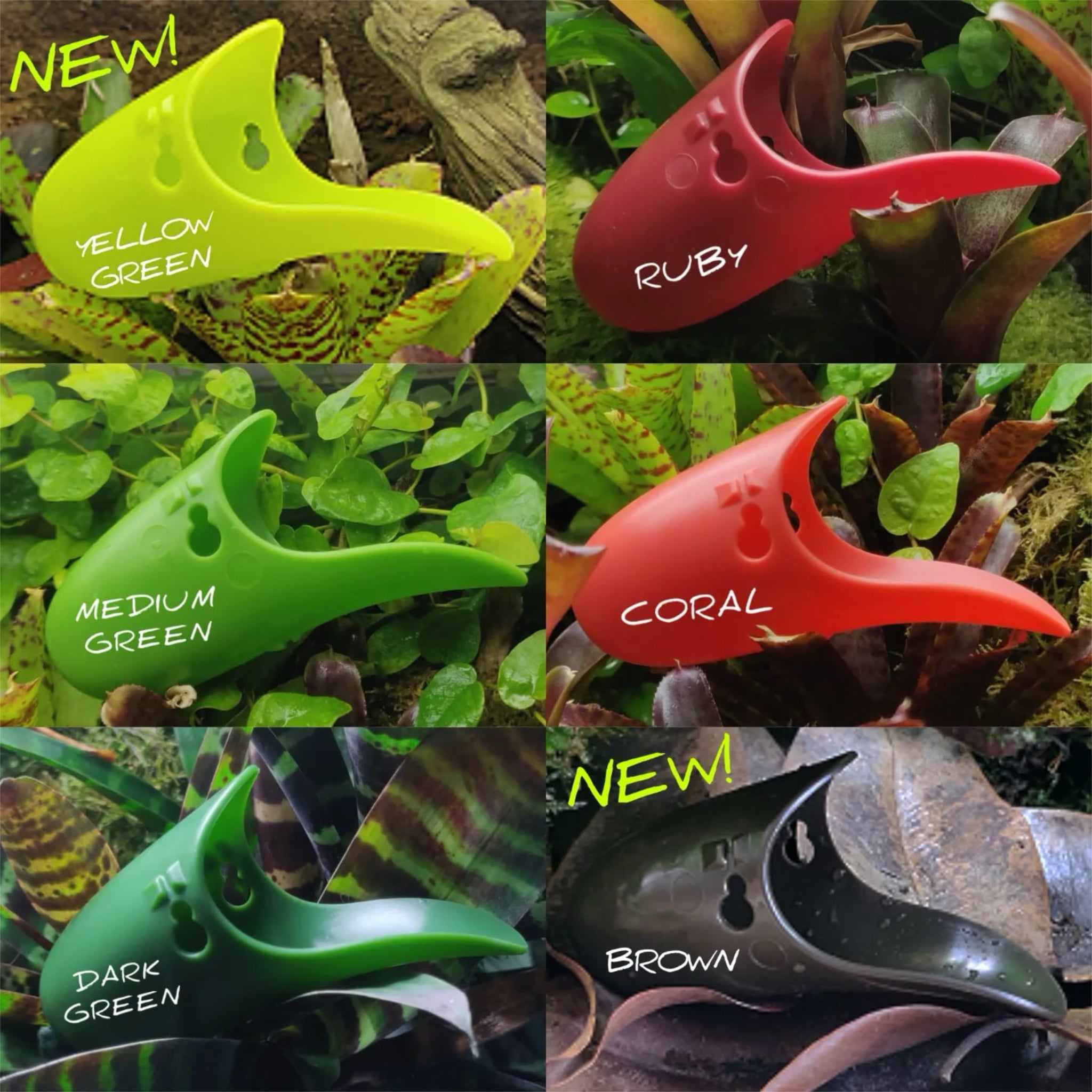 Tad-Pool / Sito di deposizione per Dendrobates