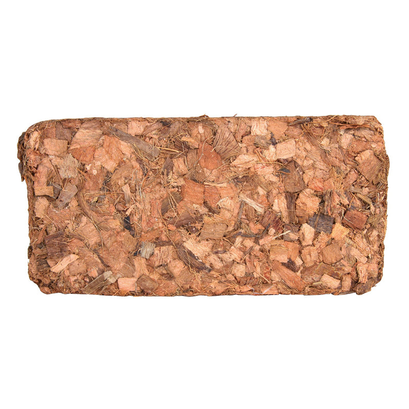 Mattonella Cocco Chips