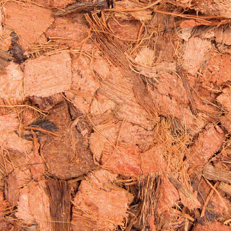 Mattonella Cocco Chips