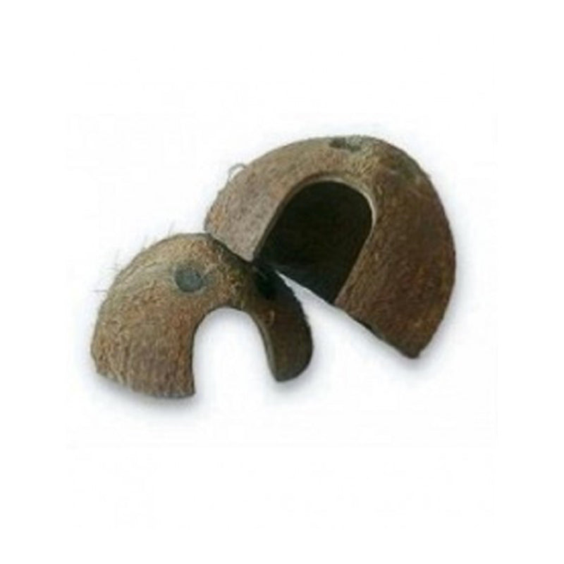 Cocco