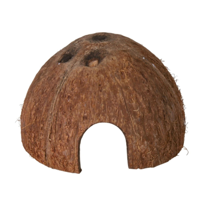 Cocco